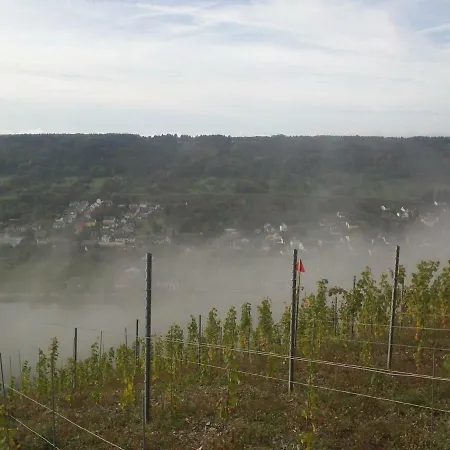 Ferienwohnung-vinothek Keifer Διαμέρισμα Kinheim