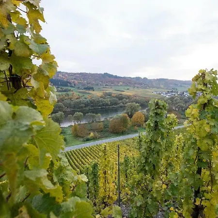 Διαμέρισμα Ferienwohnung-vinothek Keifer *
